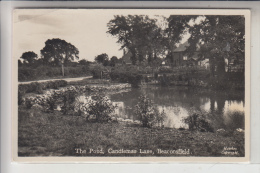 UK - ENGLAND -BUCKINGHAMSHIRE - BEACONSFIELD, The Pond, Candlemans Lane, 1953 - Buckinghamshire
