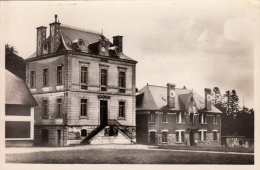 50 - St-SAUVEUR-le-VICOMTE - L´hôtel De Ville Et La Gendarmerie - Saint Sauveur Le Vicomte