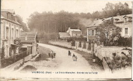 60- VAUMOISE ( Oise ) - Belle Vue Animée De La Croix Blanche - Entrée De La Forêt ( Maisons ,enfants ) - Vaumoise