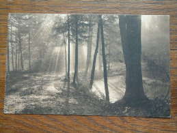 Soleil Brumeux Vallon De La Vuylbeek / Anno 1913 ( Zie Foto Voor Details ) !! - St-Pieters-Woluwe - Woluwe-St-Pierre