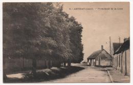 - 45 - ARTHENAY (Loiret) - Promenade De La Lune - - Artenay