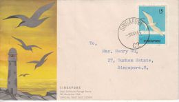 Singapour YT 57B FDC : Sterne , Hirondelle De Mer - 1966 - Rondini