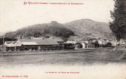 CPA LE THILLOT (88) La Gare Et Le Bois De Chaillon TB - Le Thillot