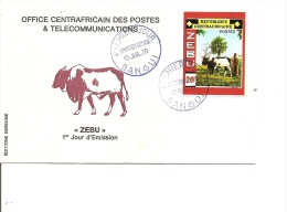 Vaches -Zébus ( FDC De Centrafricaine De 1970 à Voir) - Vaches