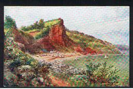 RB 940 - J. Salmon Postcard - Oddicombe Beach Near Torquay Devon - Artist W.W. Quatremain - Torquay