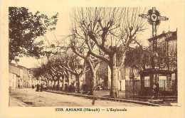 Hérault - Ref A 231 - Aniane -l 'esplanade  - Carte Bon état - - Aniane