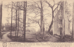 Laeken.  -  Chapelle Sainte-Anne Dans Le Parc;  1956 Naar Wenduyne - Laeken