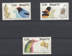 Brazil - 1973 Birds MNH__(TH-441) - Nuovi