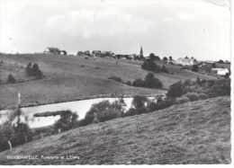 FROIDCHAPELLE: Panorama Et L'Etang - Froidchapelle