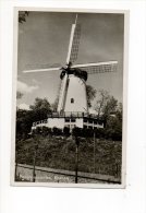 Rhenen De Molen - Rhenen