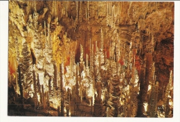 Cp, 48, Grotte De L'Aven-Armand, Vue D'Ensemble - Other & Unclassified