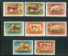 HUNGARY-1951.- Farm Animals(Horse,Pig,Beef) Cpl.Set MNH!! Mi:1150-1157. - Unused Stamps