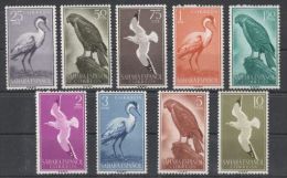 Spanish Sahara - 1959 Birds MNH__(TH-3427) - Sahara Spagnolo