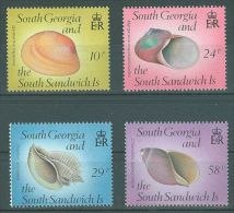 South Georgia - 1988 Shells MNH__(TH-471) - South Georgia