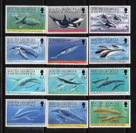 South Georgia - 1994 Whales And Dolphins MNH__(TH-2251) - Zuid-Georgia