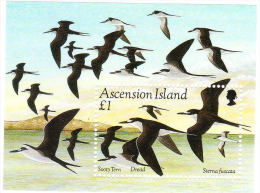 Ascension 1994 Birds Sooty Tern S/S MNH - Ascension (Ile De L')