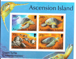 Ascension 1994 Green Turtle S/S MNH - Ascensión