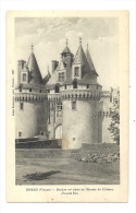 Cp, 86, Dissais, Donjon De L'Entrée Du Château, Façade Est, écrite 1916 - Autres & Non Classés