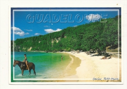 Cp, Guadeloupe, Saint Anne, Plage De Petit Havre, Voyagée 2000 - Otros & Sin Clasificación