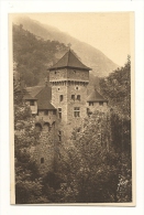 Cp, 48, Château De La Caze - Other & Unclassified