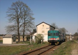 167 Treno ALn 668.3237 Zeme Pavia Rairoad Trein Railweys Treni Steam Chemin De Fer - Eisenbahnen