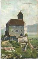 Sargans - Schloss Gegen Osten          Ca. 1910 - Sargans