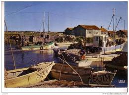 SCENE OSTREICOLE - Le Transport Des Collecteurs Dans Les Parcs à Huitres - N° 17 / 335 - Poitou-Charentes