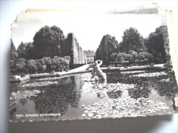 Oostenrijk  Österreich Wenen Wien 65 Schloss Garten - Palacio De Schönbrunn