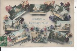 Souvenir De DAMMARIE LES LYS - Dammarie Les Lys