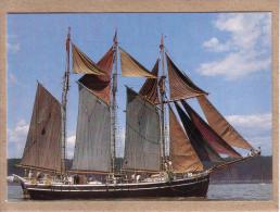 CANADA - CPM - VOILIER 3 MATS - SUR LE ST LAURENT POUR LE 450E ANNIVERSAIRE DE JACQUES CARTIER - Postales Modernas