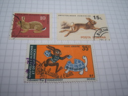 Lapins, Tortue  - 1967,1993, 1978 - Allemagne, Roumanie, Nlle Calédonie - Hasen