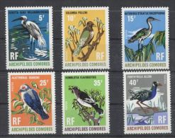 Comoros - 1971 Birds MNH__(TH-4941) - Unused Stamps