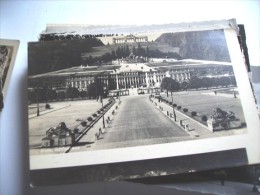 Oostenrijk  Österreich Wenen Wien 94 Schloss - Palacio De Schönbrunn