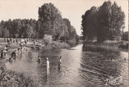 45 - DORDIVES / LA BAIGNADE SUR LES BORDS DU LOING - Dordives