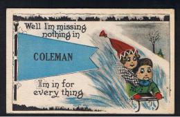 RB 941 - Winter Sports Theme Postcard - Coleman Kansa USA - Autres & Non Classés