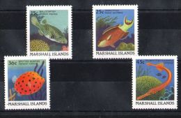 Marshall Islands - 1988 Fishes 15-45c MNH__(TH-2589) - Marshall Islands