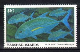 Marshall Islands - 1989 Fishes 10$ MNH__(TH-2670) - Marshall