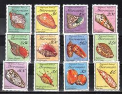 Micronesia - 1989 Shells MNH__(TH-2646) - Mikronesien