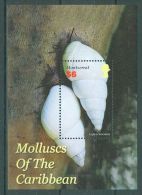 Montserrat - 2005 Shells Block MNH__(TH-5087) - Montserrat