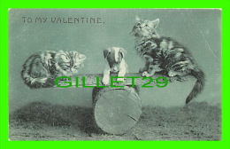 VALENTINE'S DAY - TO MY VALENTINE - CATS & DOG ON A LOG - W.H.B. - UNDIVIDED BACK - - San Valentino