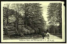 Silberner Mann Bei Wernigerode  A. H.  -  Ansichtskarte Ca.1930    (2302) - Wernigerode