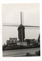 AARTSELAAR De Molen Persfoto Groot Formaat 18 Op 12 - Aartselaar