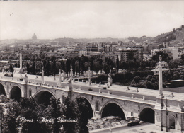 Italia--Roma--Ponte Flaminio - Ponts