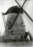 RONSE (O.Vl.) - Molen/moulin - Prentkaart: Historische Opname Van De Triburymolen Met Wieken (bestaat Nog Als Romp) - Renaix - Ronse