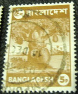 Bangladesh 1973 Jack Fruit 5p - Used - Bangladesh