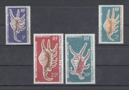 New Caledonia - 1972 Marine Animals MNH__(TH-7004) - Unused Stamps