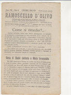 C1112 - RAMOSCELLO D'OLIVO - PUBBLICAZIONE ISTITUTO SORELLE DELL'IMMACOLATA - MIRAMARE (FORLI') 1930 - Godsdienst