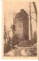 Oberhaslach (Molsheim-Bas-Rhin)-Le Château De Nideck-Ruines-Cachet Au Verso (voir Scan) - Molsheim