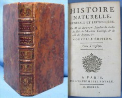 Histoire Naturelle Générale Et Particulière / M. De Buffon / Imprimerie Royale De 1770 / Dernier Tome De TABLES - 1701-1800