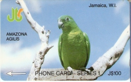 TARJETA DE JAMAICA DE UN LORO (PARROT) 8JAMA - Pappagalli